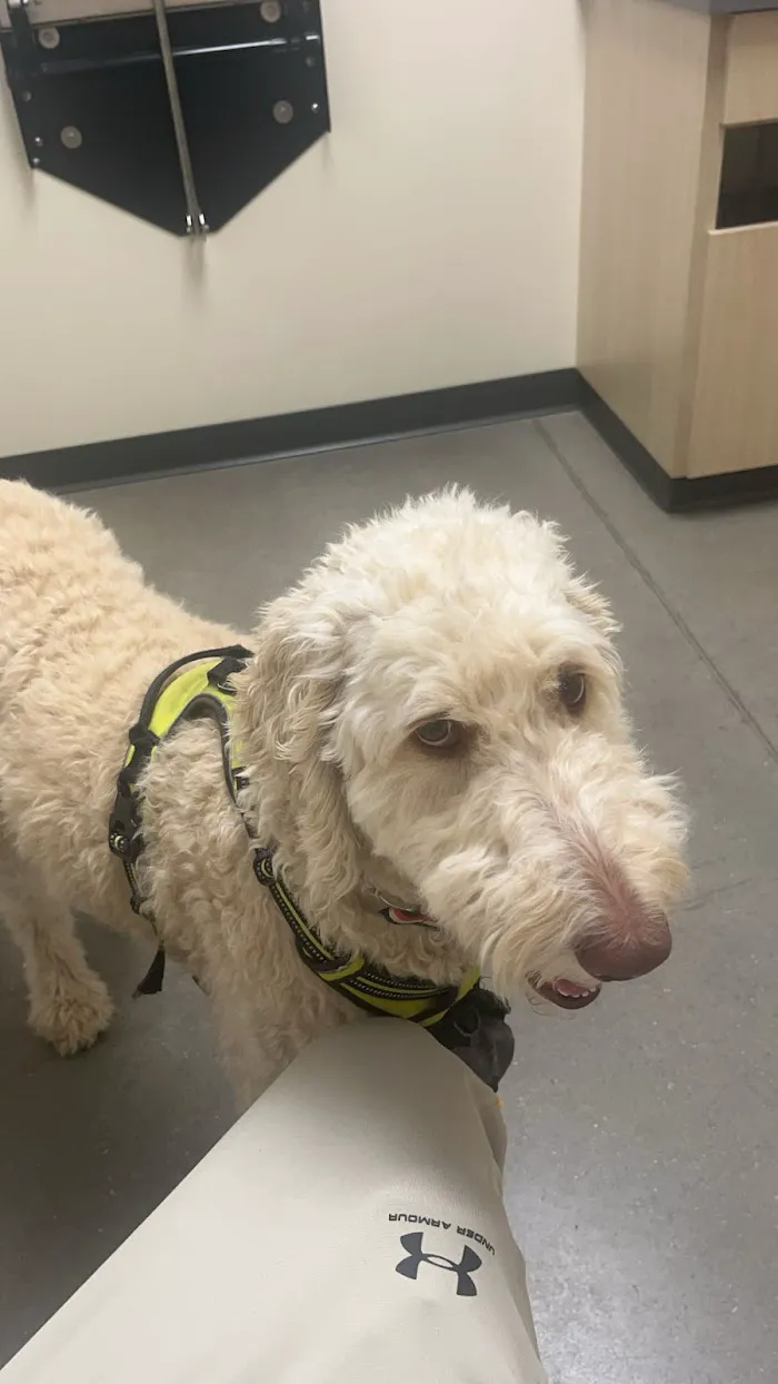 Vetco Total Care Animal Hospital 12