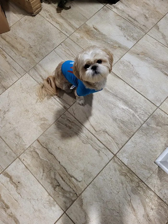 Veterinary Medical Center of Clayton 12