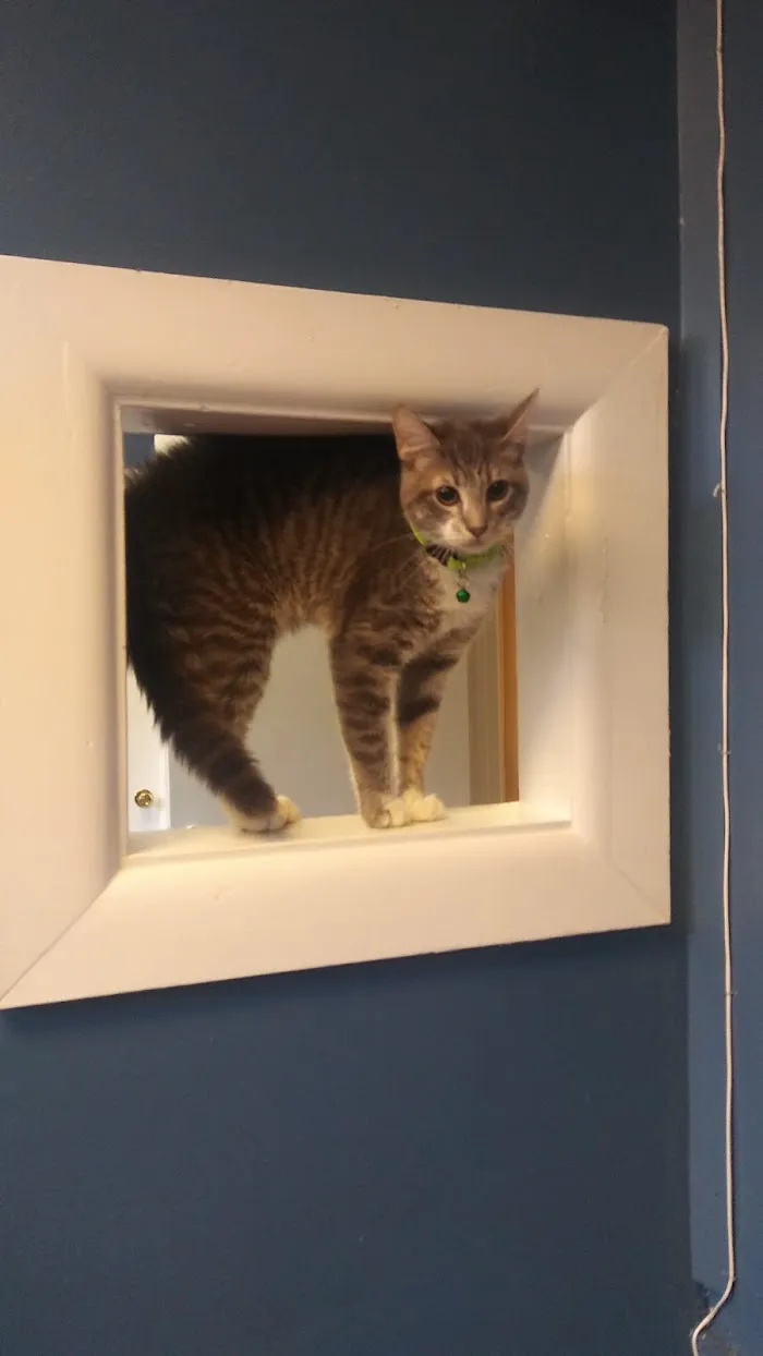 Veterinary Medical Center of Clayton 12