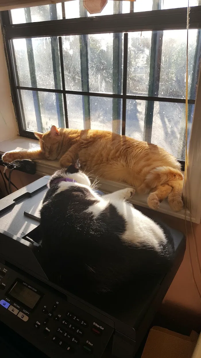 Three Counties Animal Hospital 1