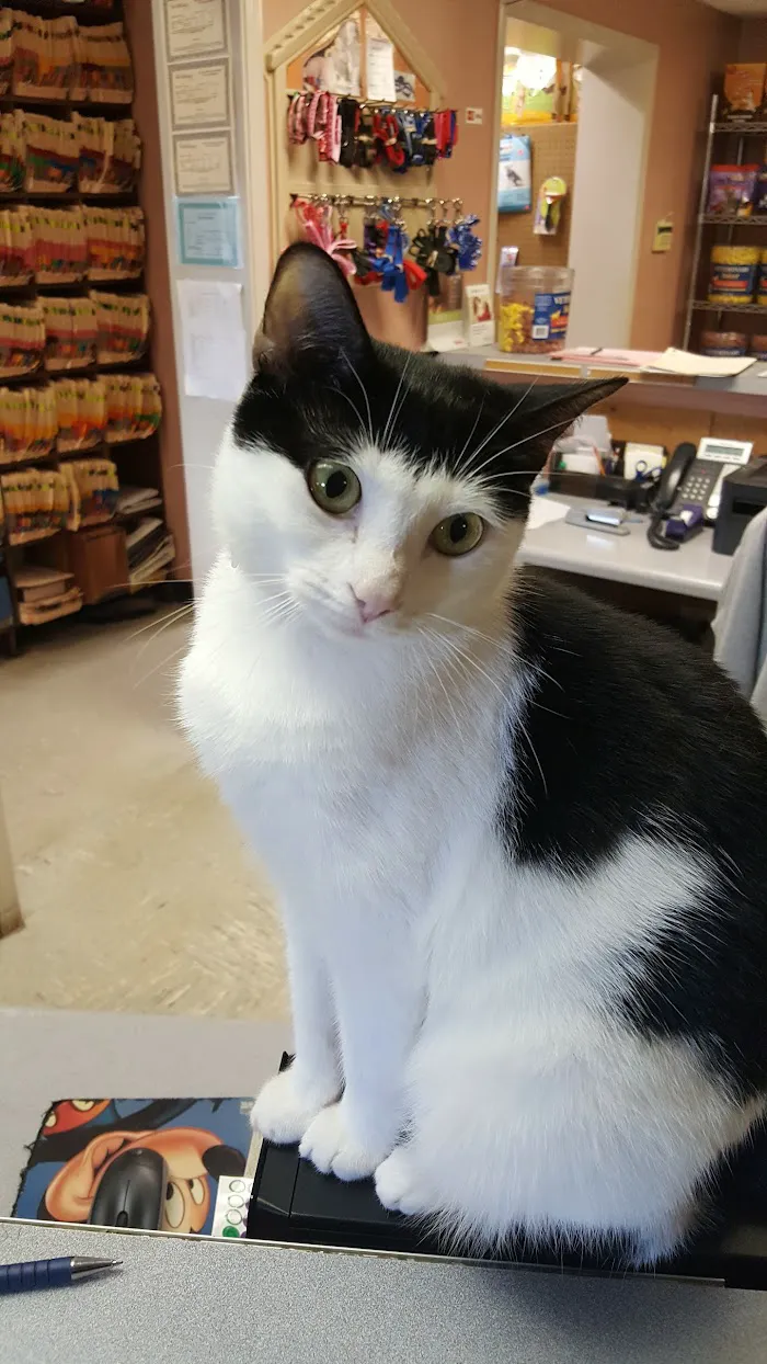 Three Counties Animal Hospital 6