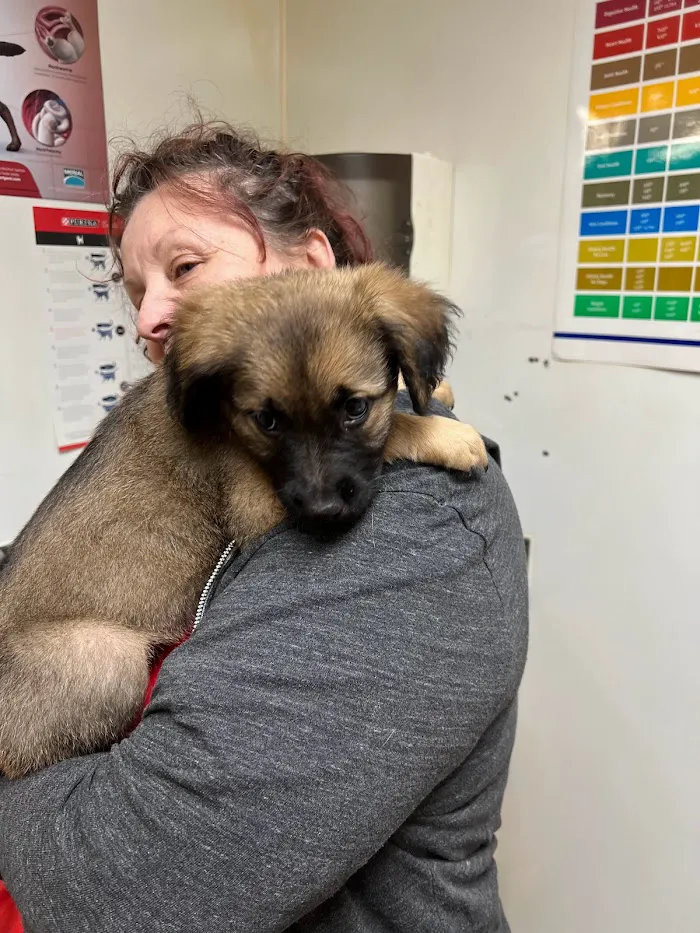 Three Counties Animal Hospital 3