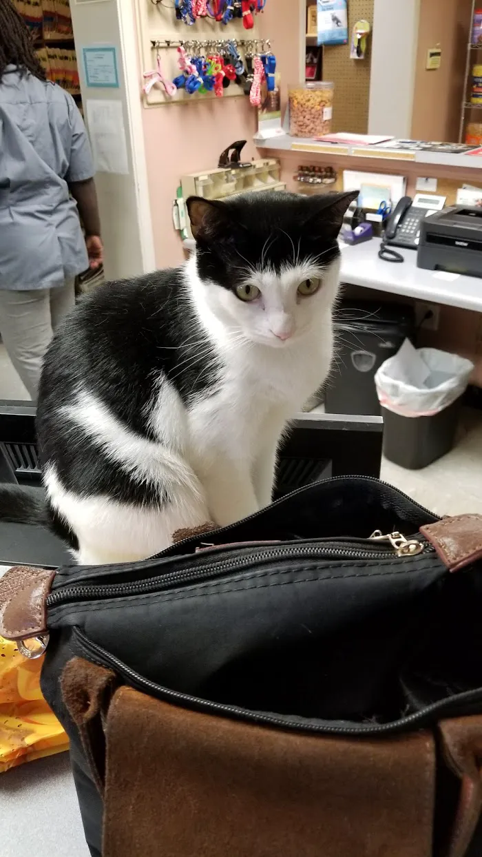 Three Counties Animal Hospital 2