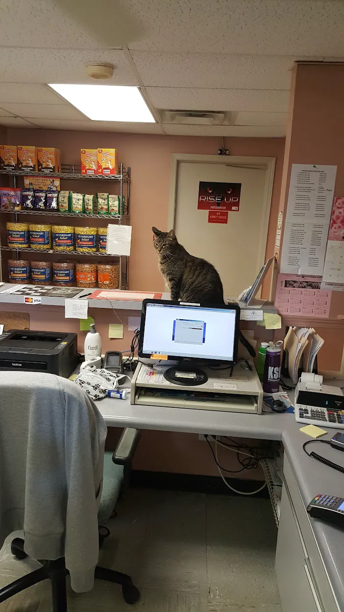 Three Counties Animal Hospital 5