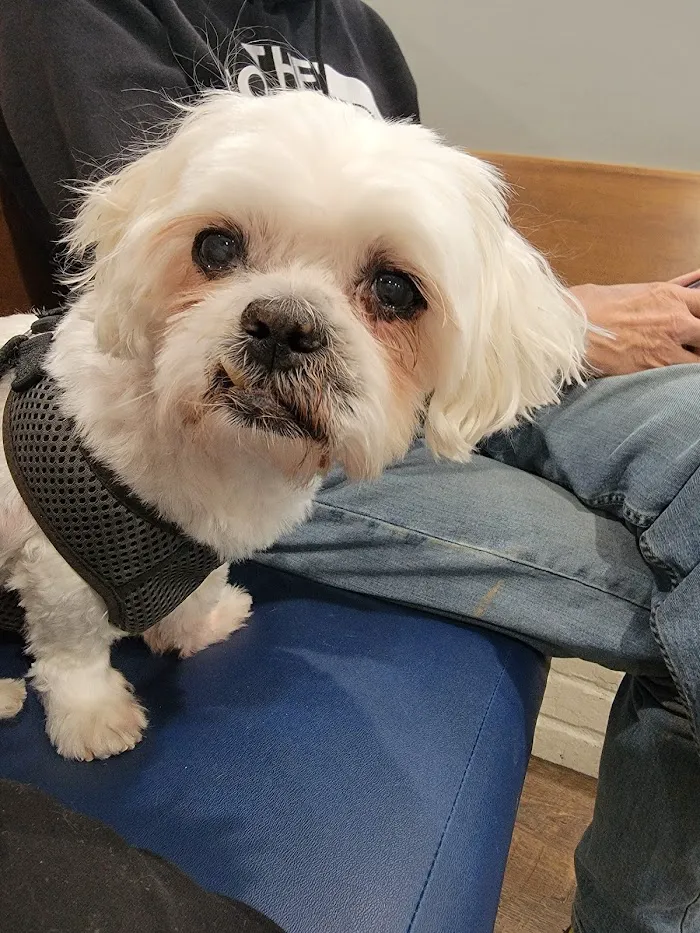 Flat Creek Animal Clinic 12