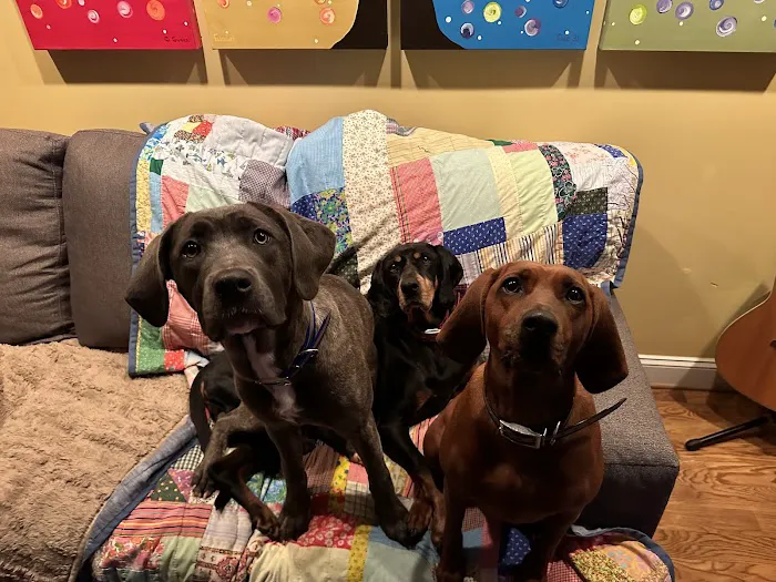 Flat Creek Animal Clinic 12