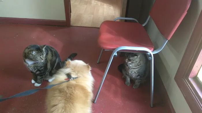 Allied Animal HealthCare 12