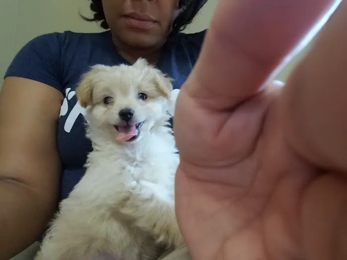 Allied Animal HealthCare 12
