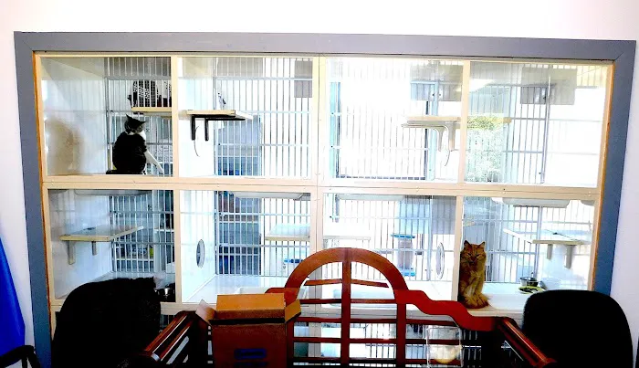 Animal Amour Veterinary Hospital & Pet Lodge 12