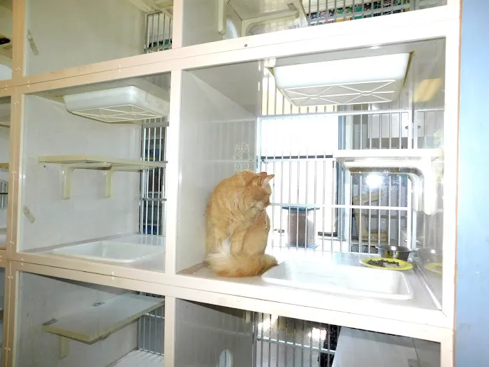Animal Amour Veterinary Hospital & Pet Lodge 12