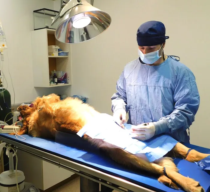 Animal Amour Veterinary Hospital & Pet Lodge 12