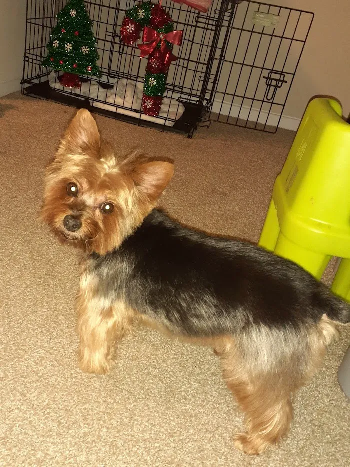 Banfield Pet Hospital 9