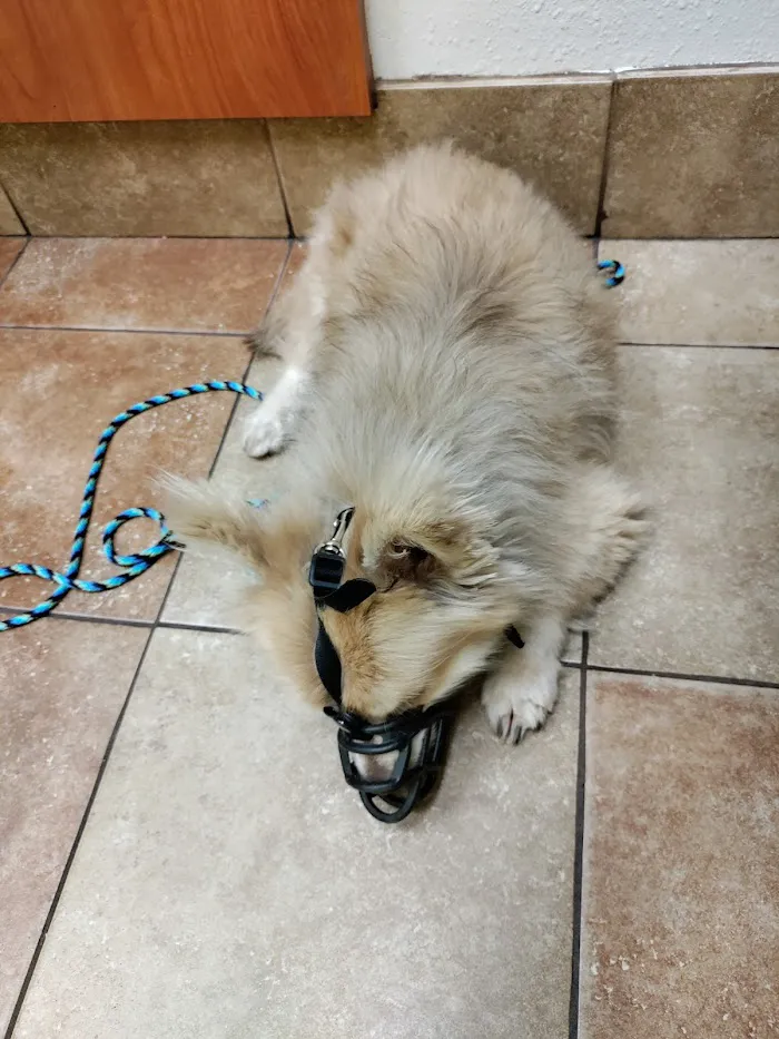 Banfield Pet Hospital 5