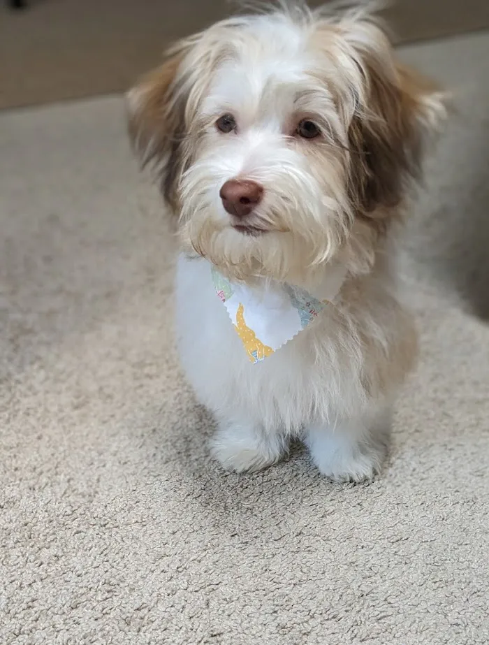Banfield Pet Hospital 7