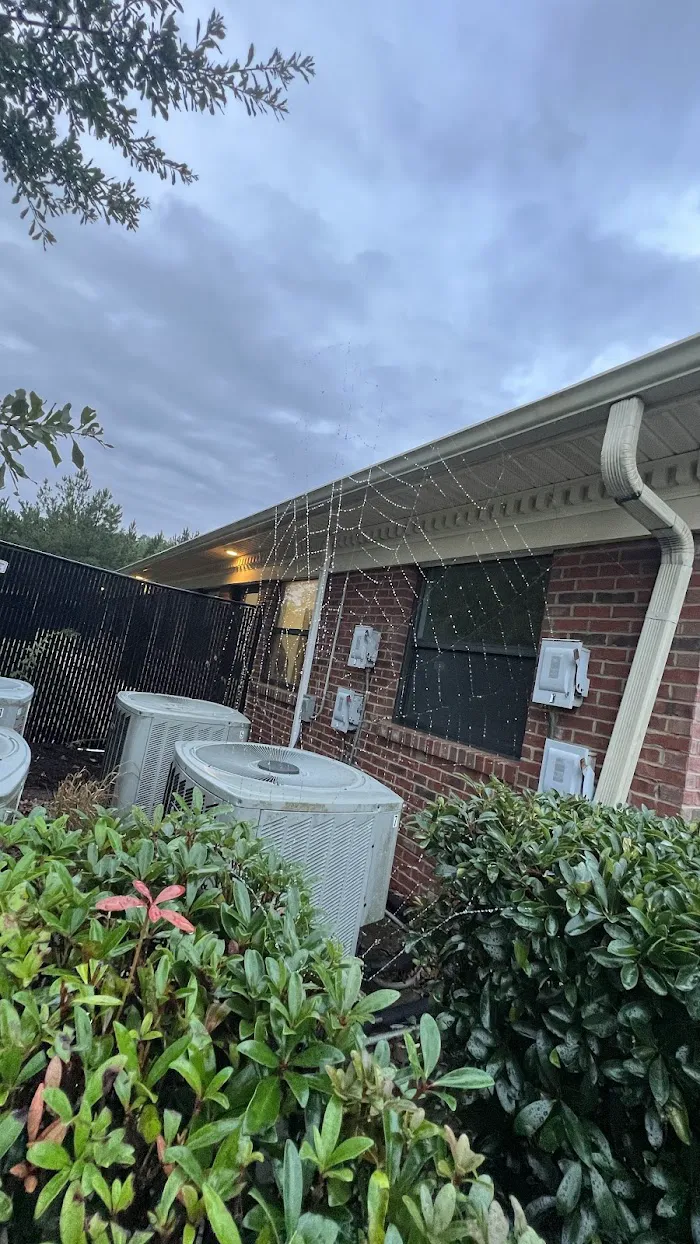 Fayetteville Animal Hospital 12