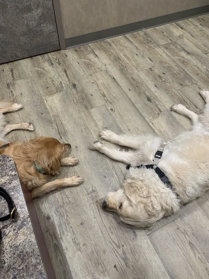 Fayetteville Animal Hospital 12