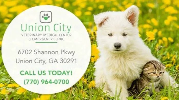 Union City Veterinary Medical Center & Emergency Clinic 6