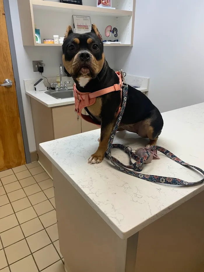 Union City Veterinary Medical Center & Emergency Clinic 1