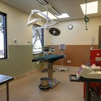 Applewood Animal Hospital ico