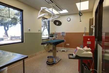 Applewood Animal Hospital
