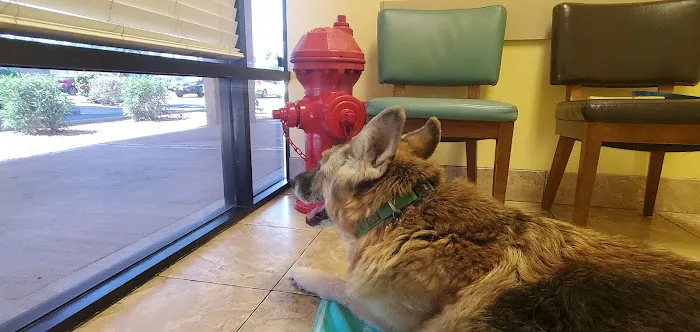 Topaz Veterinary Clinic 12