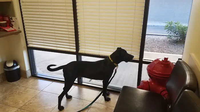Topaz Veterinary Clinic 12