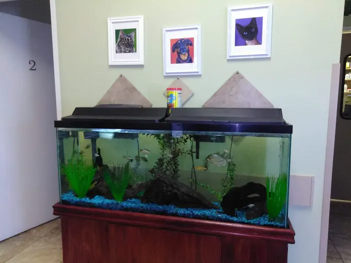 Topaz Veterinary Clinic 12