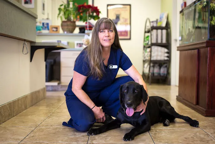 Topaz Veterinary Clinic 12