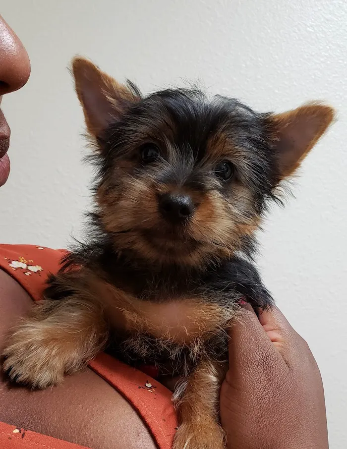 Neighborhood Veterinary Clinic 12