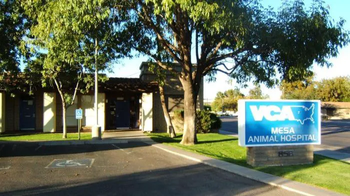 VCA Mesa Animal Hospital 12
