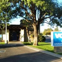 VCA Mesa Animal Hospital ico