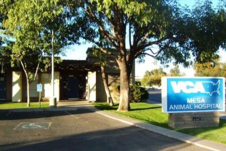 VCA Mesa Animal Hospital