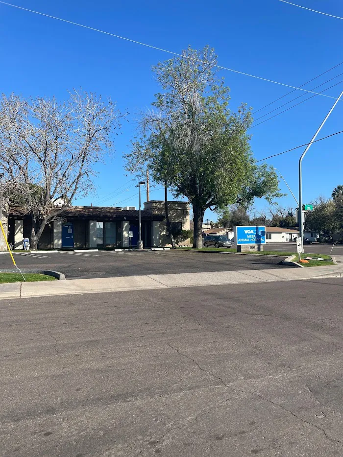 VCA Mesa Animal Hospital 12