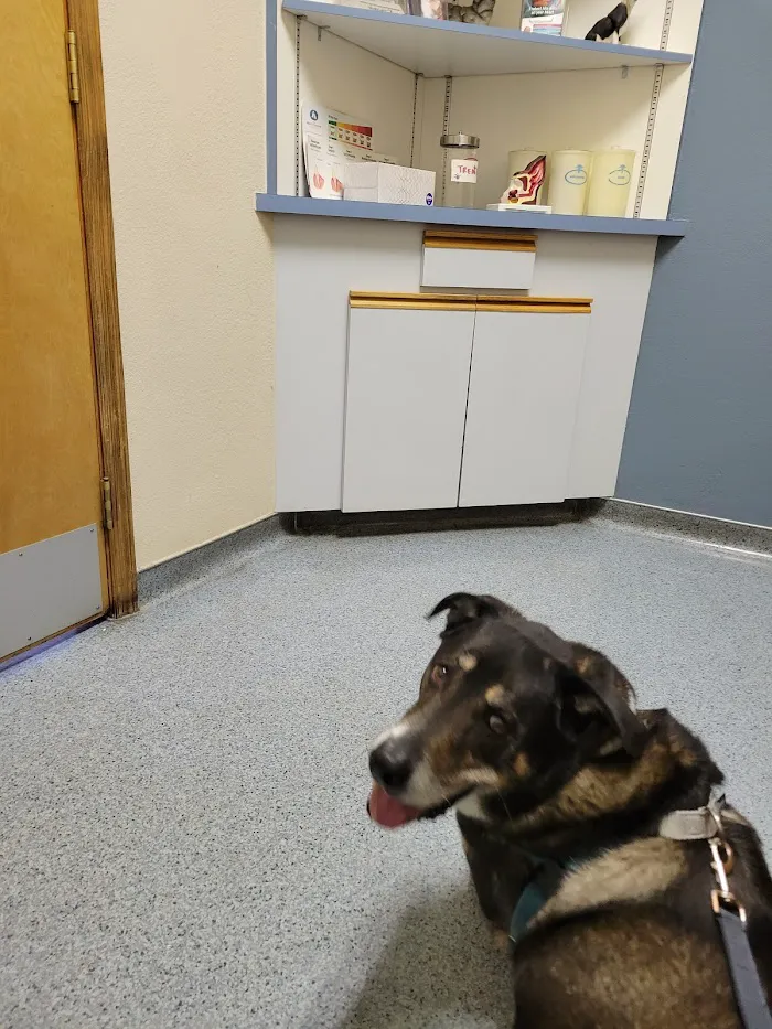Ahwatukee Animal Care Hospital 12