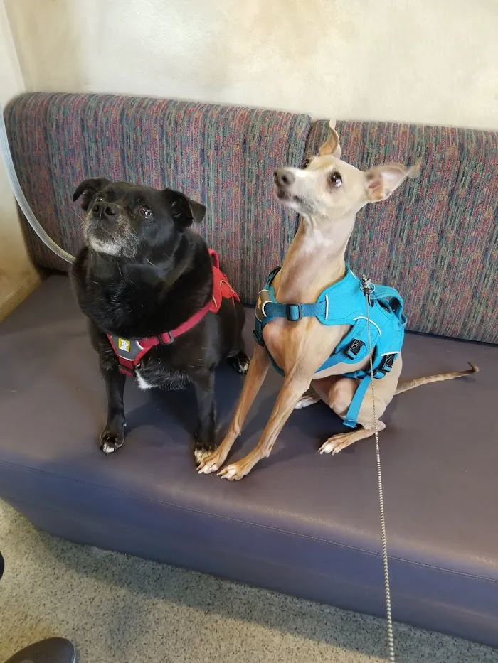 Ahwatukee Animal Care Hospital 12