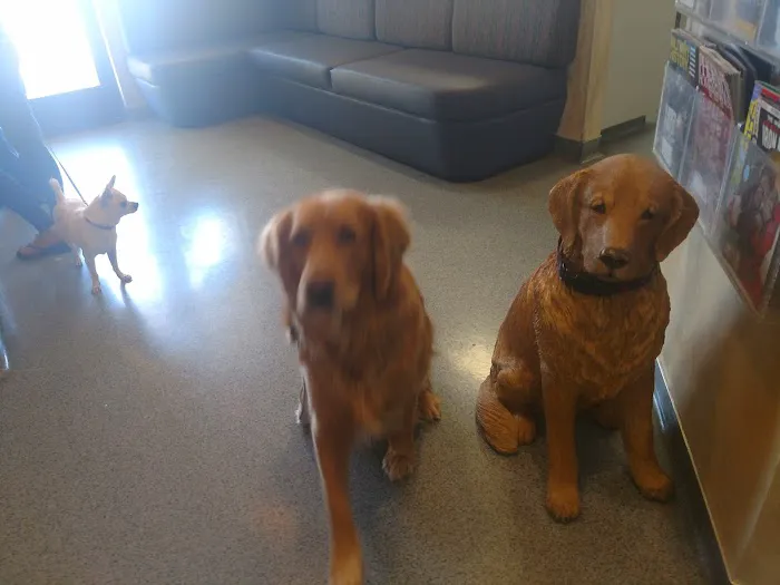 Ahwatukee Animal Care Hospital 12