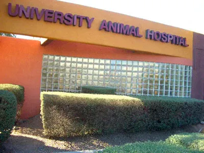 VCA University Animal Hospital 12