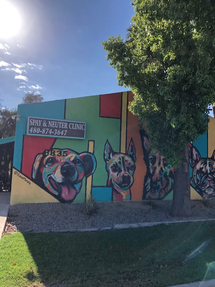 Arizona Spay & Neuter Clinic Your Low Cost Vet of Scottsdale 2