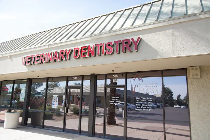 Arizona Veterinary Dental Specialists - Scottsdale 12