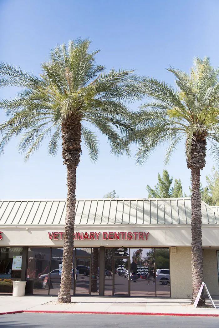 Arizona Veterinary Dental Specialists - Scottsdale 12