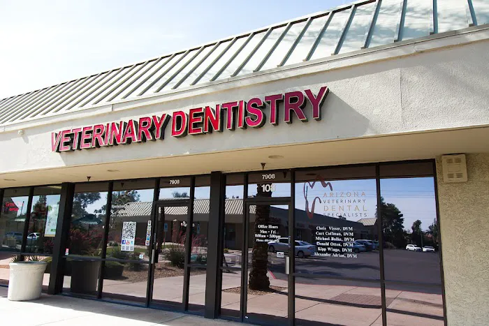 Arizona Veterinary Dental Specialists - Scottsdale 12