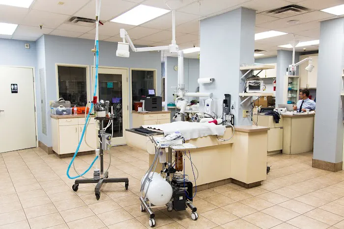 Arizona Veterinary Dental Specialists - Scottsdale 12