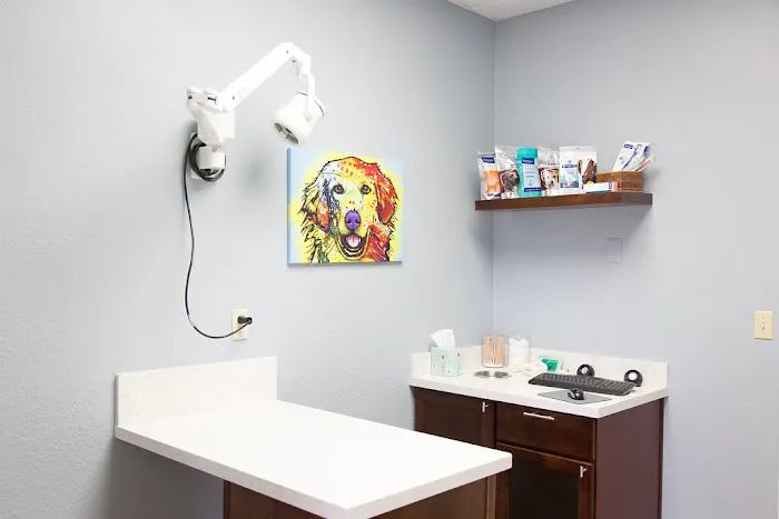 Arizona Veterinary Dental Specialists - Scottsdale 12