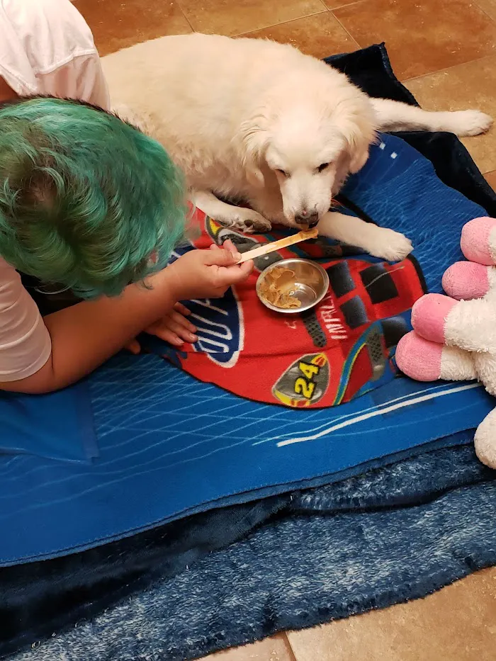 Banfield Pet Hospital 5