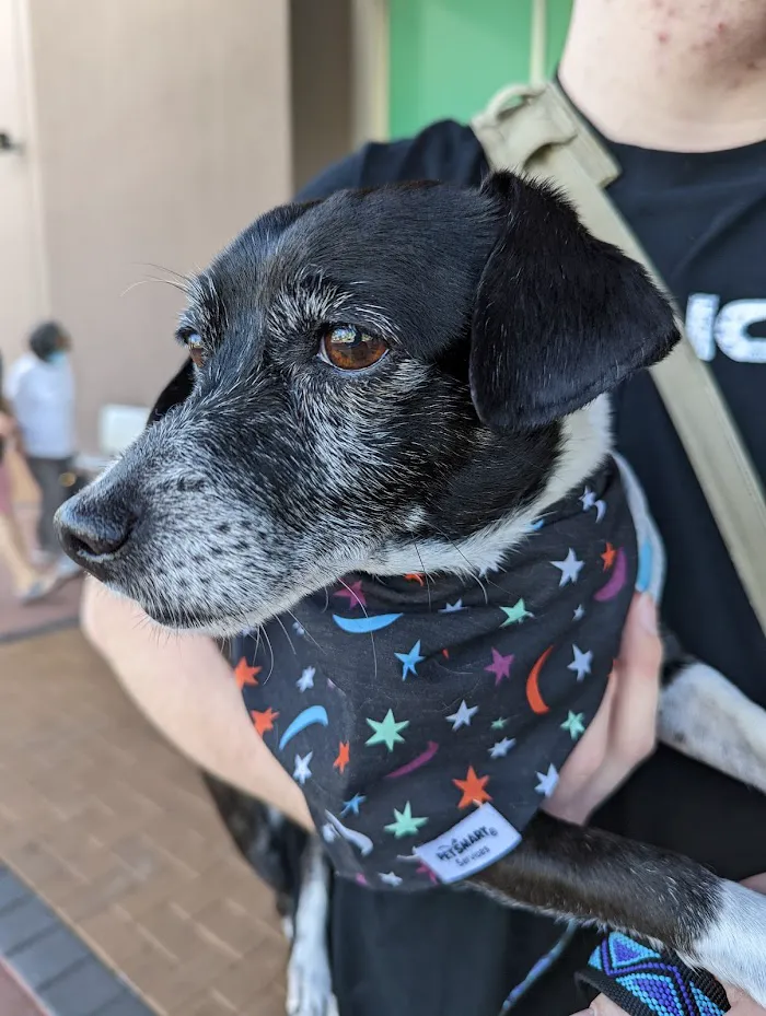 Banfield Pet Hospital 8