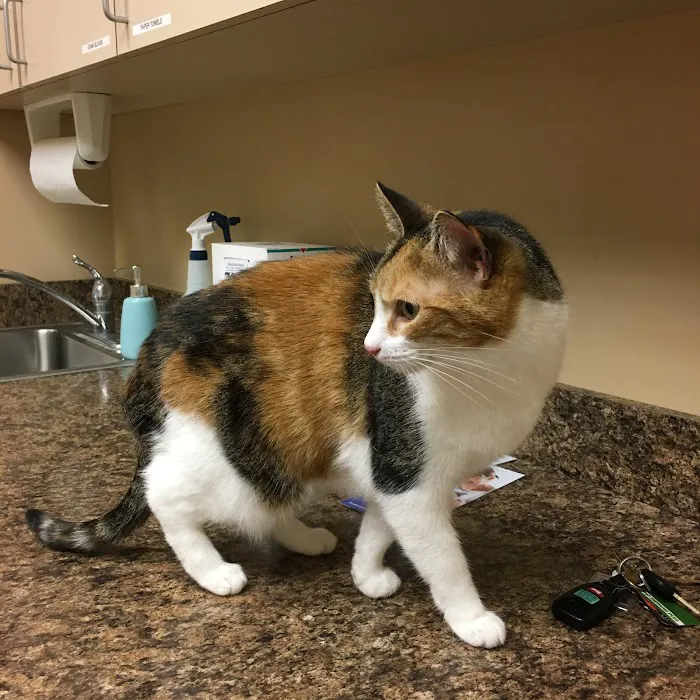 Tempe Veterinary Hospital 12
