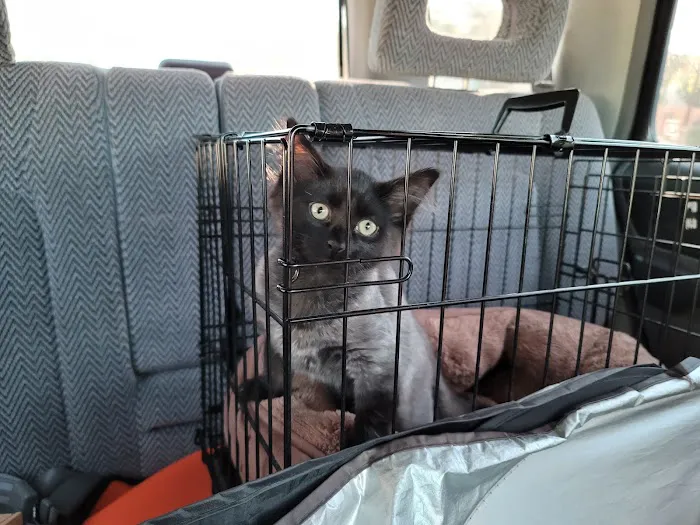 Tempe Veterinary Hospital 12