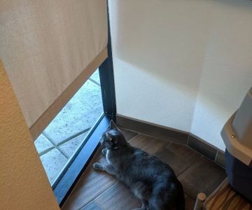 VCA Tri City Animal Hospital and Acacia Cat Hospital
