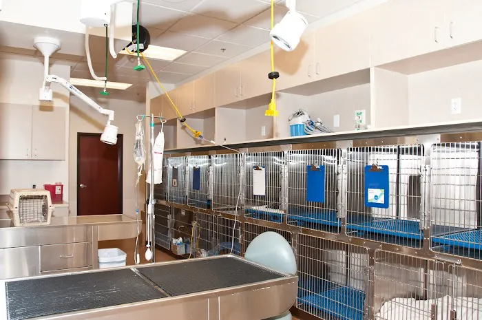 VCA Tri City Animal Hospital and Acacia Cat Hospital 12