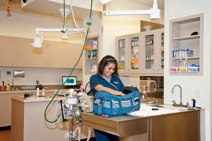 VCA Tri City Animal Hospital and Acacia Cat Hospital 12
